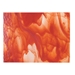 Clear, Red Opal, Dbl-rolled - 002024-0030-05x10