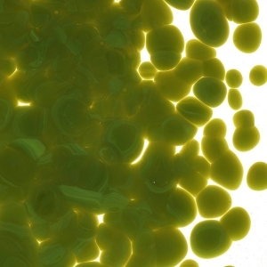 Avocado Green Opalescent, Frit, Fusible 