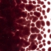 Deep Plum Transparent, Frit, Fusible - 001105-0001-F-P001