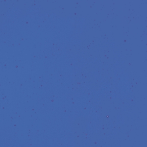 Deep Royal Blue Transparent, Thin-rolled, 2 mm, Fusible, 17 x 20 in., Half Sheet 