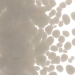 Elephant Gray Opalescent, Frit, Fusible - 000206-0001-F-P001