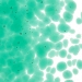 Emerald Green Transparent, Frit, Fusible - 001417-0001-F-P001