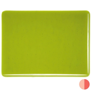 Fern Green, Dbl-rolled 