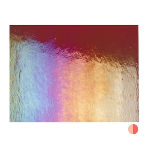 Fuchsia, Dbl-rolled, Irid, rainbow 