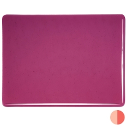 Fuchsia, Dbl-rolled 
