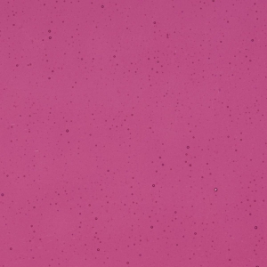 Fuchsia Transparent, Thin-rolled, 2 mm, Fusible, 17 x 20 in., Half Sheet 