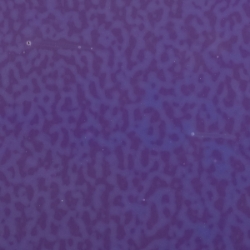 Gold Purple Opalescent, Thin-rolled, 2 mm, Fusible, 17 x 20 in., Half Sheet 