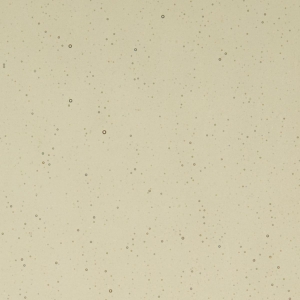 Khaki Transparent, Thin-rolled, 2 mm, Fusible, 17 x 20 in., Half Sheet 