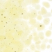 Light Amber Transparent, Frit, Fusible - 001437-0001-F-P001