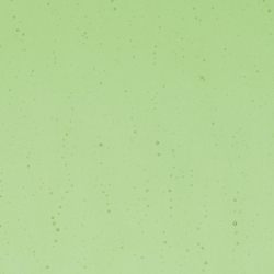 Light Green Transparent, Thin-rolled, 2 mm, Fusible, 17 x 20 in., Half Sheet 
