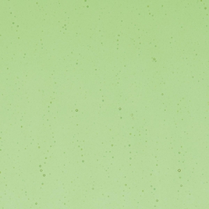 Light Green Transparent, Thin-rolled, 2 mm, Fusible, 17 x 20 in., Half Sheet 