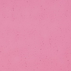 Light Pink Striker Transparent, Thin-rolled, 2 mm, Fusible, 17 x 20 in., Half Sheet 