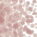 Light Plum Transparent, Frit, Fusible - 001405-0001-F-P001