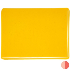 Marigold Yellow, Dbl-rolled 