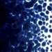 Midnight Blue Transparent, Frit, Fusible - 001118-0001-F-P001