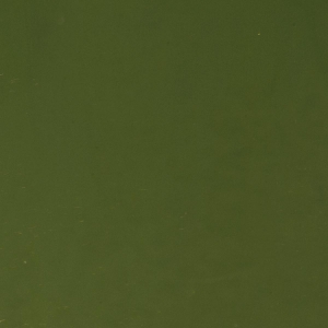 Moss Green Opalescent, Thin-rolled, 2 mm, Fusible, 17 x 20 in., Half Sheet 
