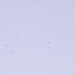 Neo-Lavender Shift Transparent, Thin-rolled, 2 mm, Fusible, 17 x 20 in., Half Sheet - 001442-0050-F-HALF