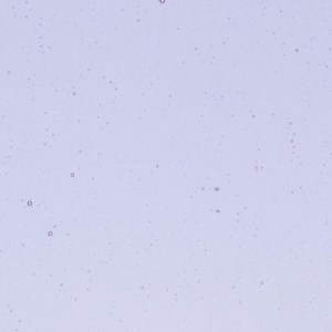 Neo-Lavender Shift Transparent, Thin-rolled, 2 mm, Fusible, 17 x 20 in., Half Sheet 