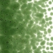 Olive Green Transparent, Frit, Fusible - 001141-0001-F-P001