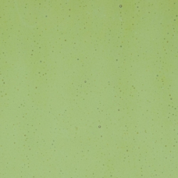Olive Green Transparent, Thin-rolled, 2 mm, Fusible, 17 x 20 in., Half Sheet 