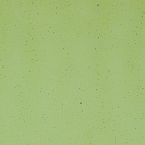 Olive Green Transparent, Thin-rolled, 2 mm, Fusible, 17 x 20 in., Half Sheet 