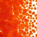 Orange Transparent, Frit, Fusible - 001125-0001-F-P001