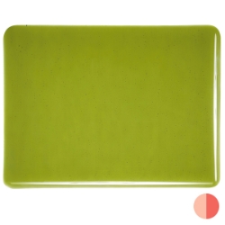 Pine Green, Dbl-rolled 