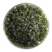 Pine Green Transparent, Frit, Fusible - 001241-0001-F-P001