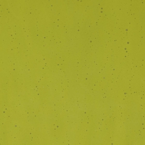 Pine Green Transparent, Thin-rolled, 2 mm, Fusible, 17 x 20 in., Half Sheet 