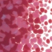 Pink Opalescent, Frit, Fusible - 000301-0001-F-P001