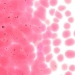 Ruby Red Striker Tint, Frit, Fusible - 001824-0001-F-P001