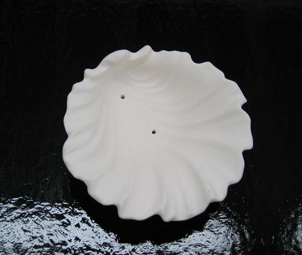 Small Shell 