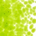 Spring Green Transparent, Frit, Fusible - 001426-0001-F-P001