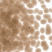 Tan Transparent, Frit, Fusible - 001419-0001-F-P001