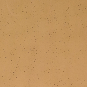 Tan Transparent, Thin-rolled, 2 mm, Fusible, 17 x 20 in., Half Sheet 