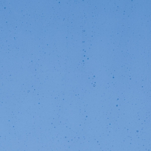 True Blue Transparent, Thin-rolled, 2 mm, Fusible, 17 x 20 in., Half Sheet 