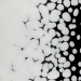 Warm White Opalescent, Frit, Fusible - 000920-0001-F-P001
