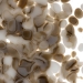 White, Dark Brown 2-Color Mix, Frit, Fusible - 002109-0001-F-P001